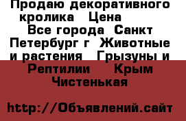 Продаю декоративного кролика › Цена ­ 500 - Все города, Санкт-Петербург г. Животные и растения » Грызуны и Рептилии   . Крым,Чистенькая